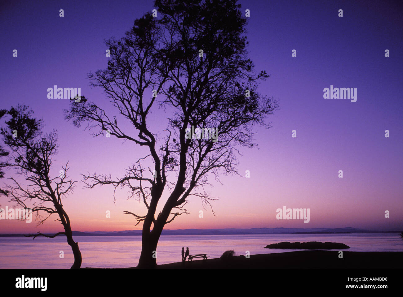 San juan island nature hi-res stock photography and images - Alamy