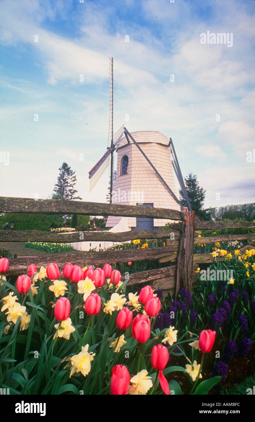 Roozengaarde bulb farm hi-res stock photography and images - Alamy