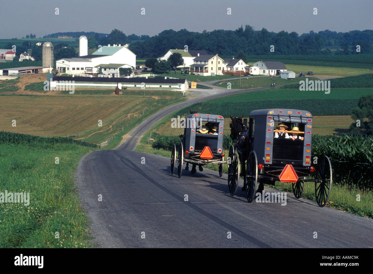 LANCASTER COUNTY PA AMISH CHILDREN RIDING IN HORSE DRAWN BUGGIES Stock