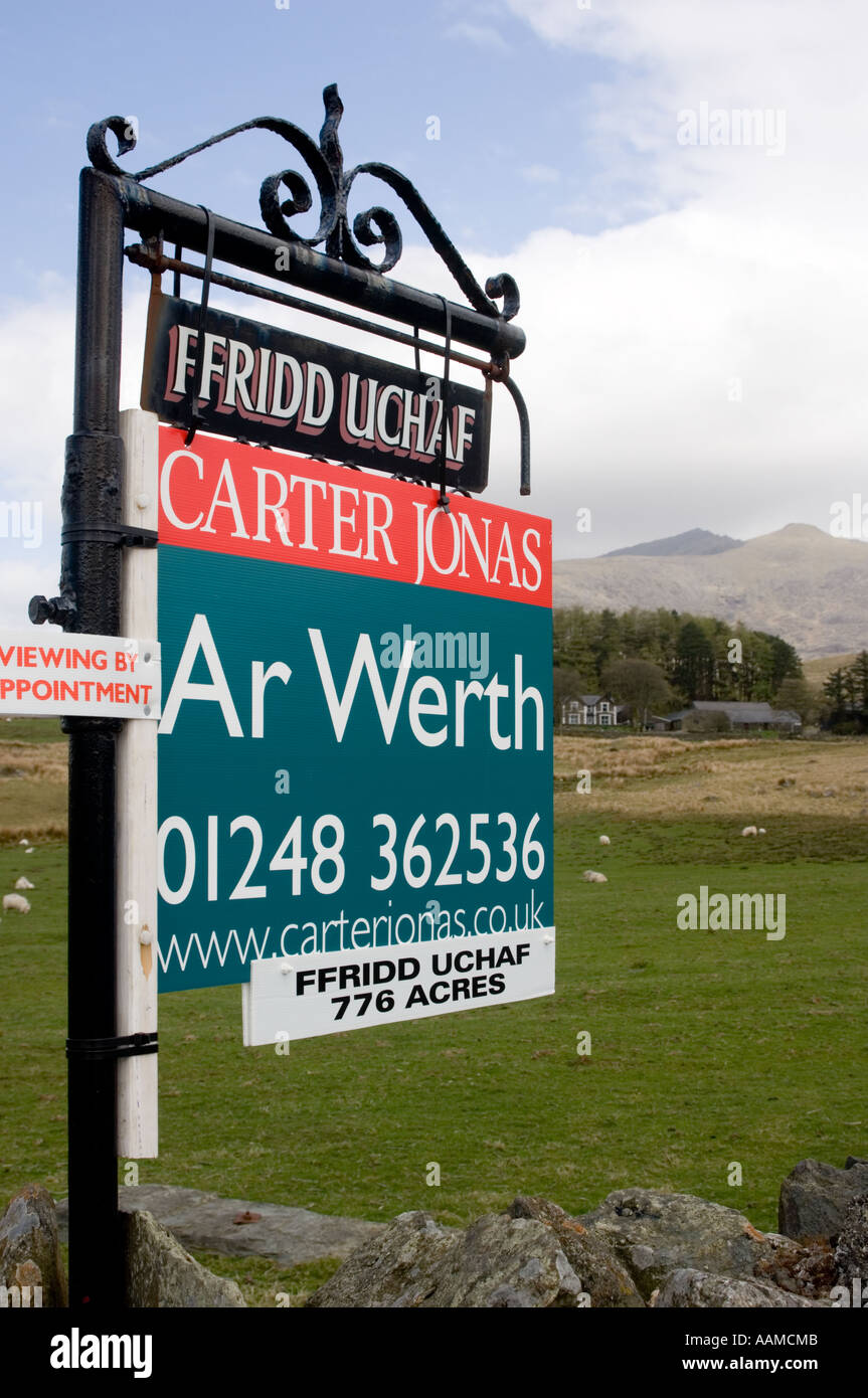 Ffridd Uchaf 776 acre hill farm for sale near Snowdon the highest