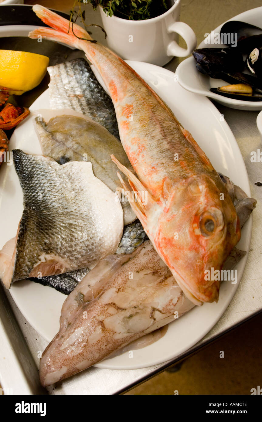 Fresh local welsh fish in the kitchen of The Shed awardwinning seafood