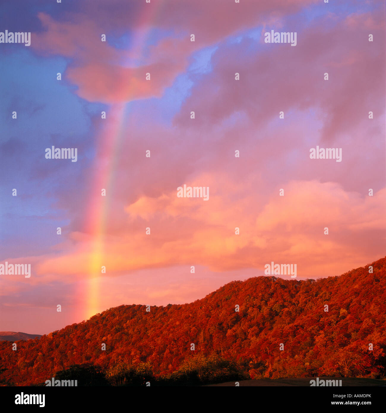 BLUE RIDGE PARKWAY NC RAINBOW OVER FRYING PAN MOUNTAIN AT SUNRISE Stock