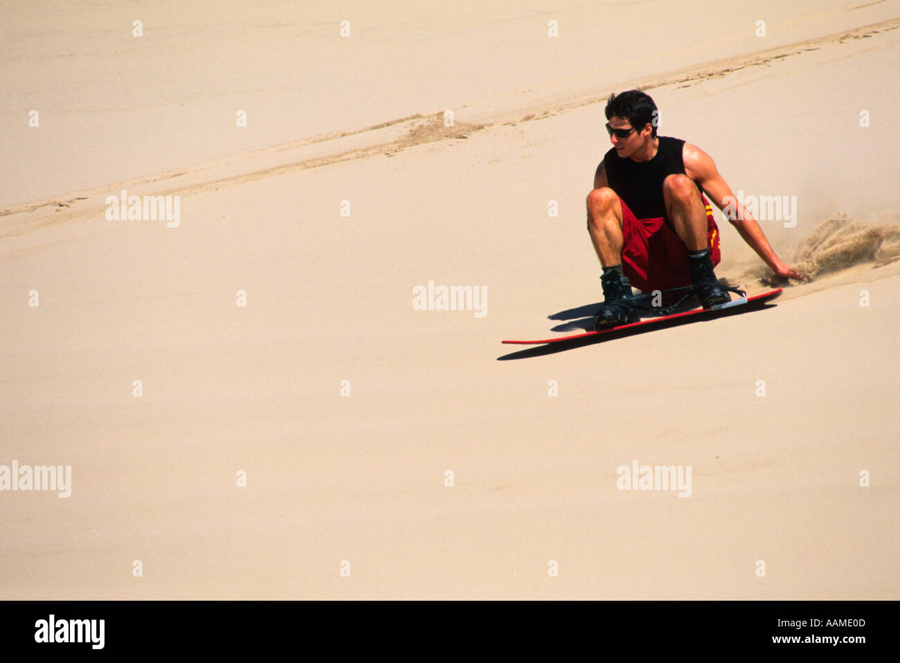 sandboarding Stock Photo