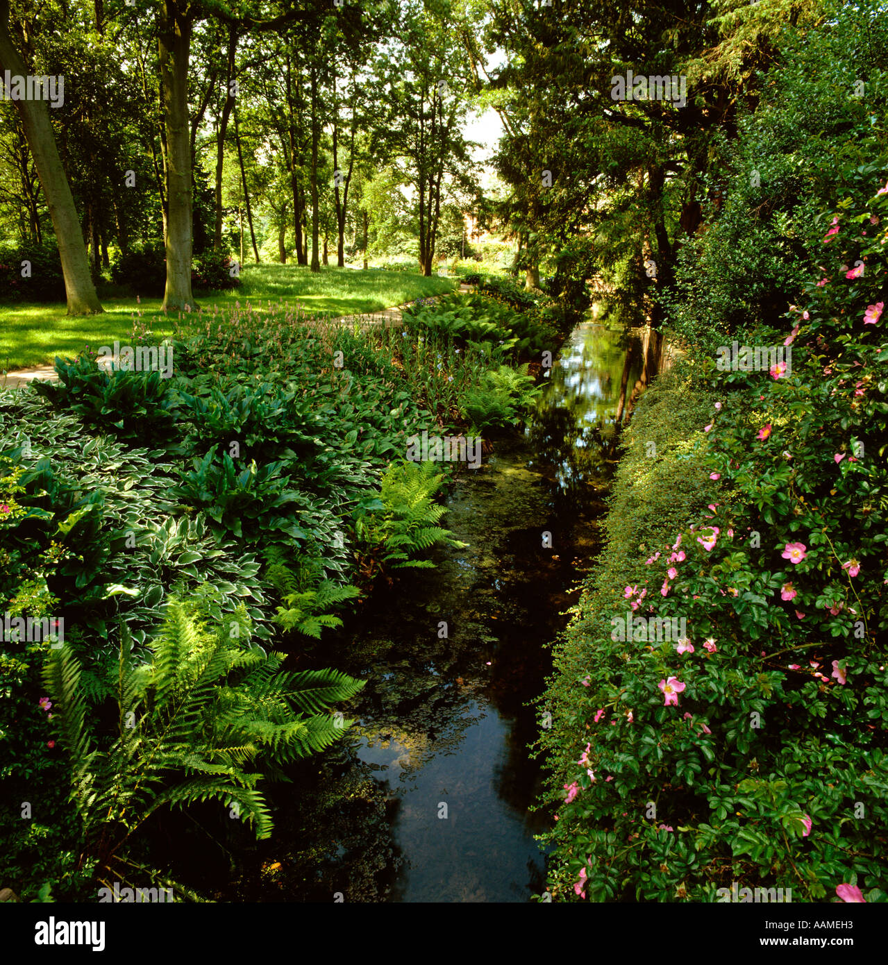 Cheshire Altrincham Dunham Massey Hall woodland gardens Stock Photo Alamy