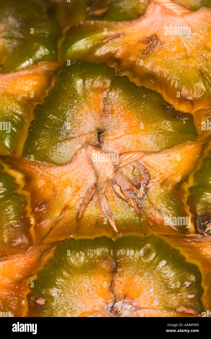 Extreme Close up Pineapple Stock Photo