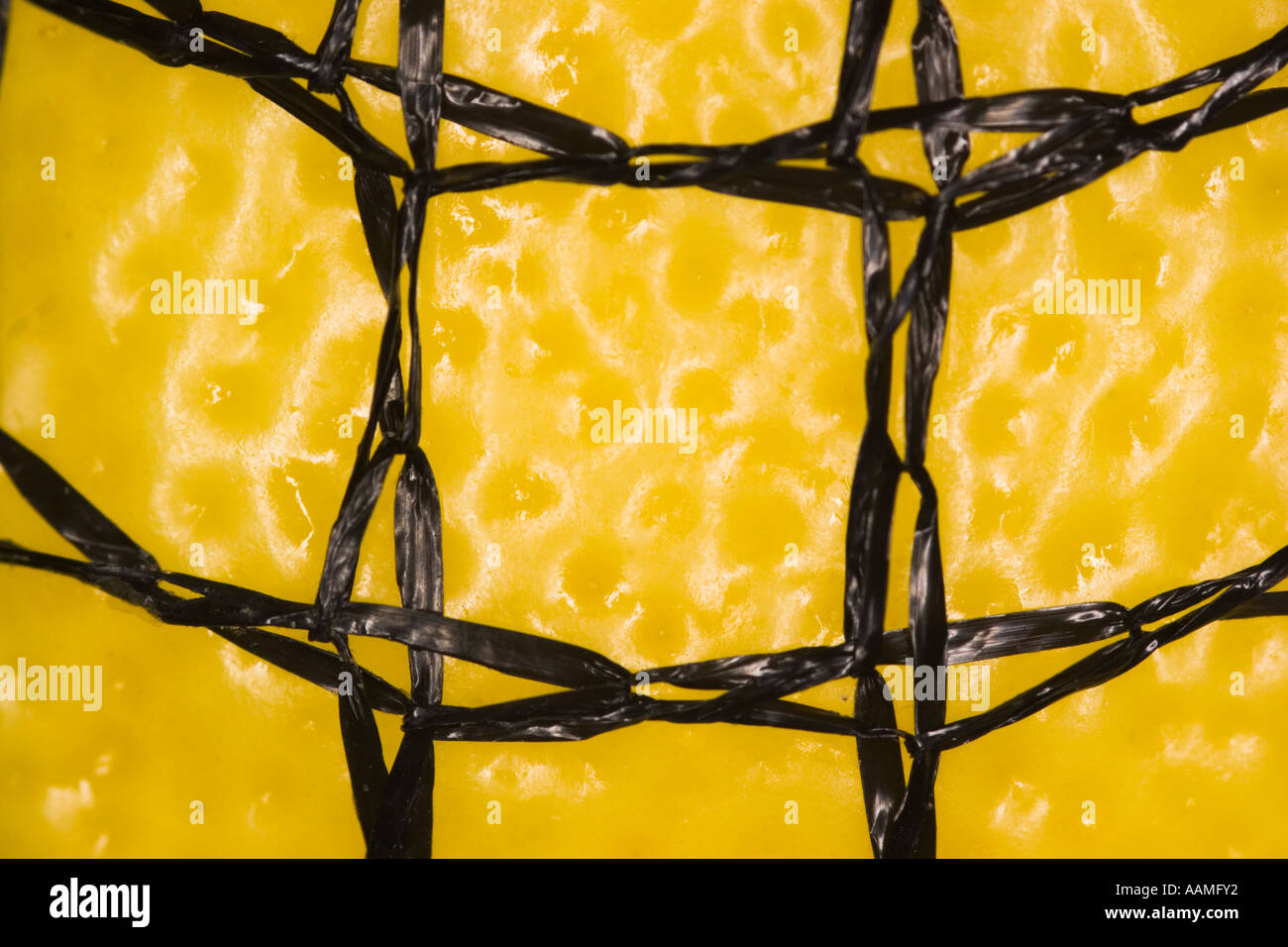 Extreme close up lemon Stock Photo