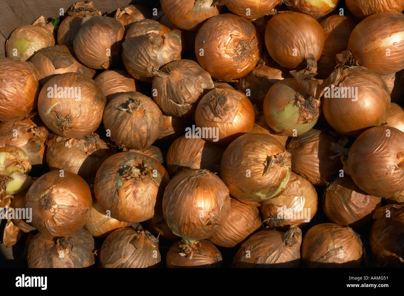 Box onions hi-res stock photography and images - Alamy