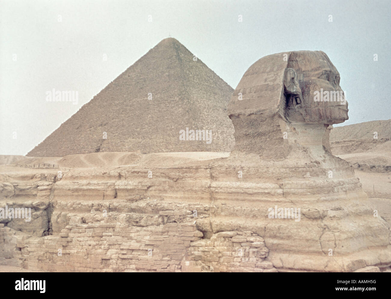 1950s GREAT PYRAMID CHEOPS SPHINX EGYPT Stock Photo