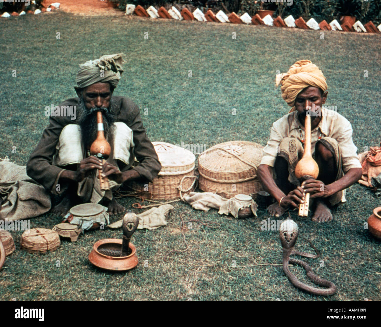 Snake Charmers in India Defy Laws to Practice Tradition: Photos