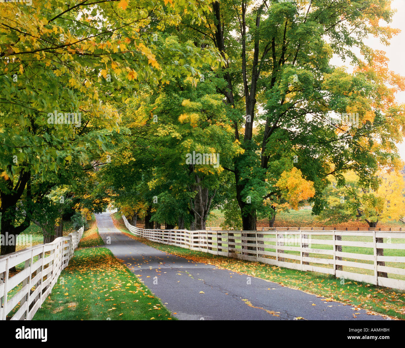 Kr54847 hires stock photography and images Alamy