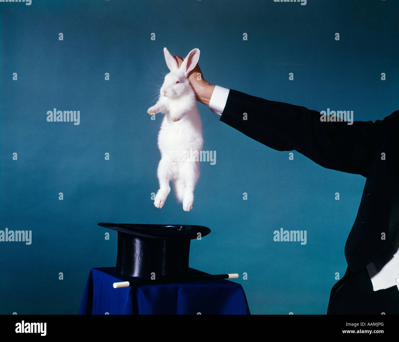 HAND OF MAGICIAN PULLING WHITE RABBIT OUT OF BLACK TOP HAT TRICK MAGIC  TRICKS RETRO VINTAGE ENTERTAINMENT MAGICIANS Stock Photo - Alamy
