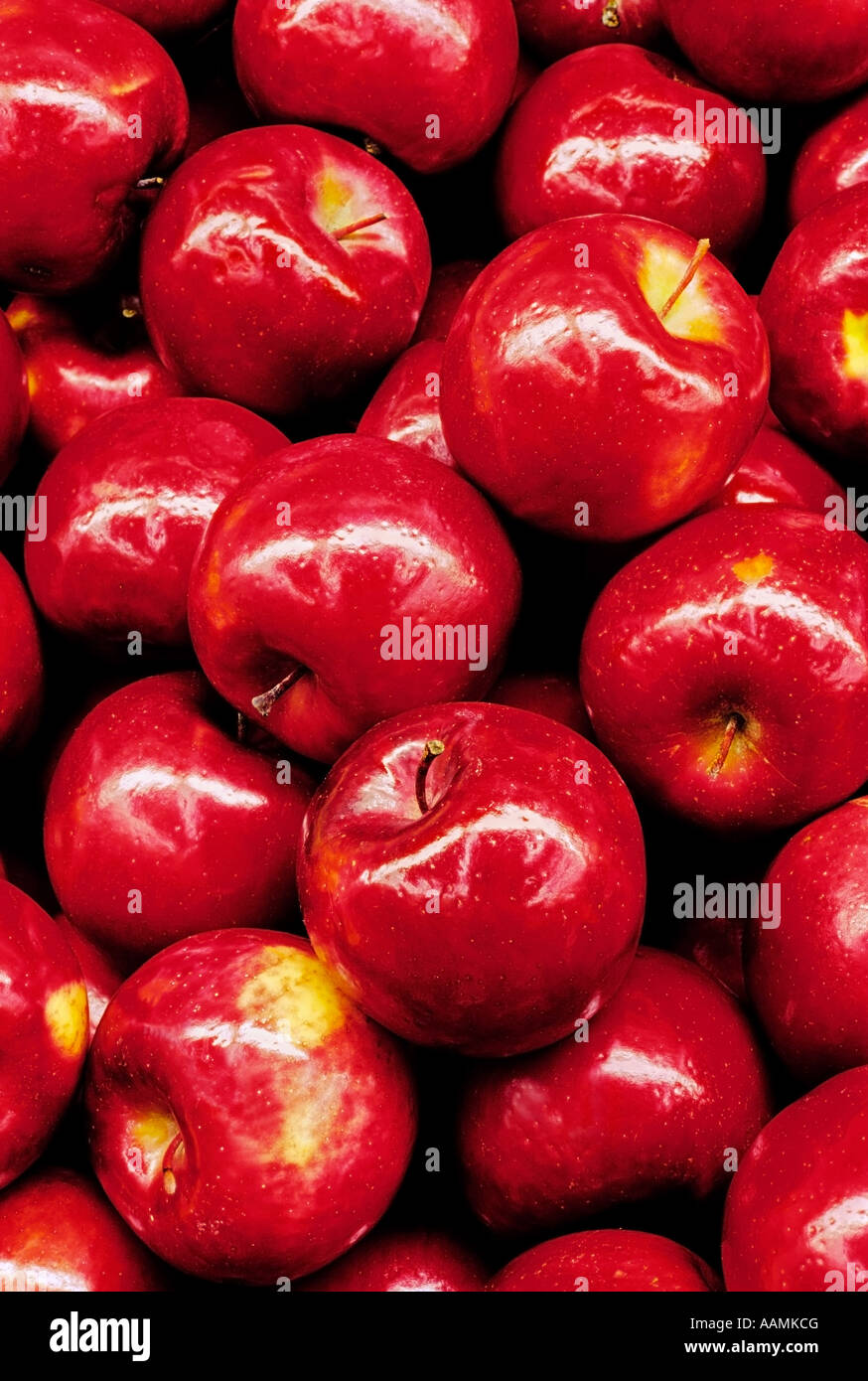 Red Rome apples on display in food market Stock Photo Alamy