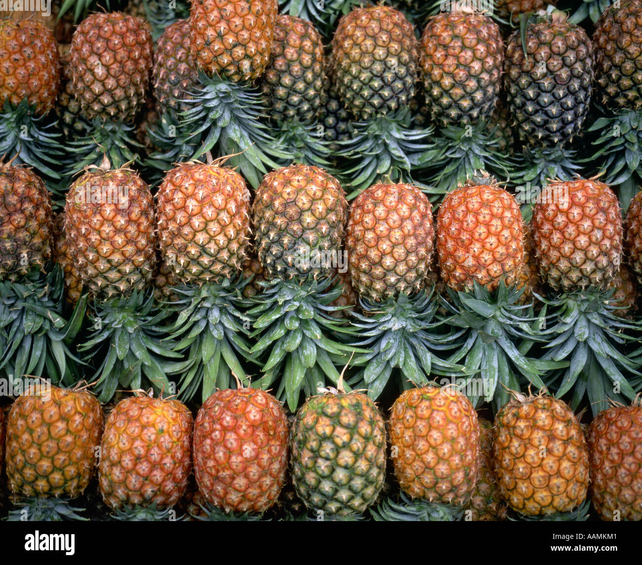 Pineapples, Jinja Market, Uganda Stock Photo 7236224 Alamy