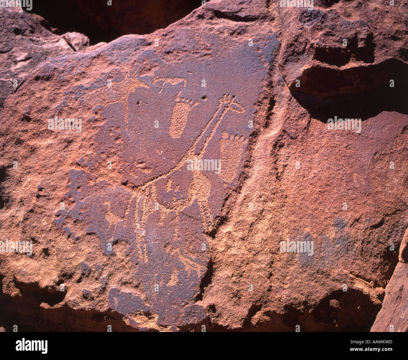 Bushman Rock Paintings / Engravings, Twyfelfontein, Damaraland, Namibia