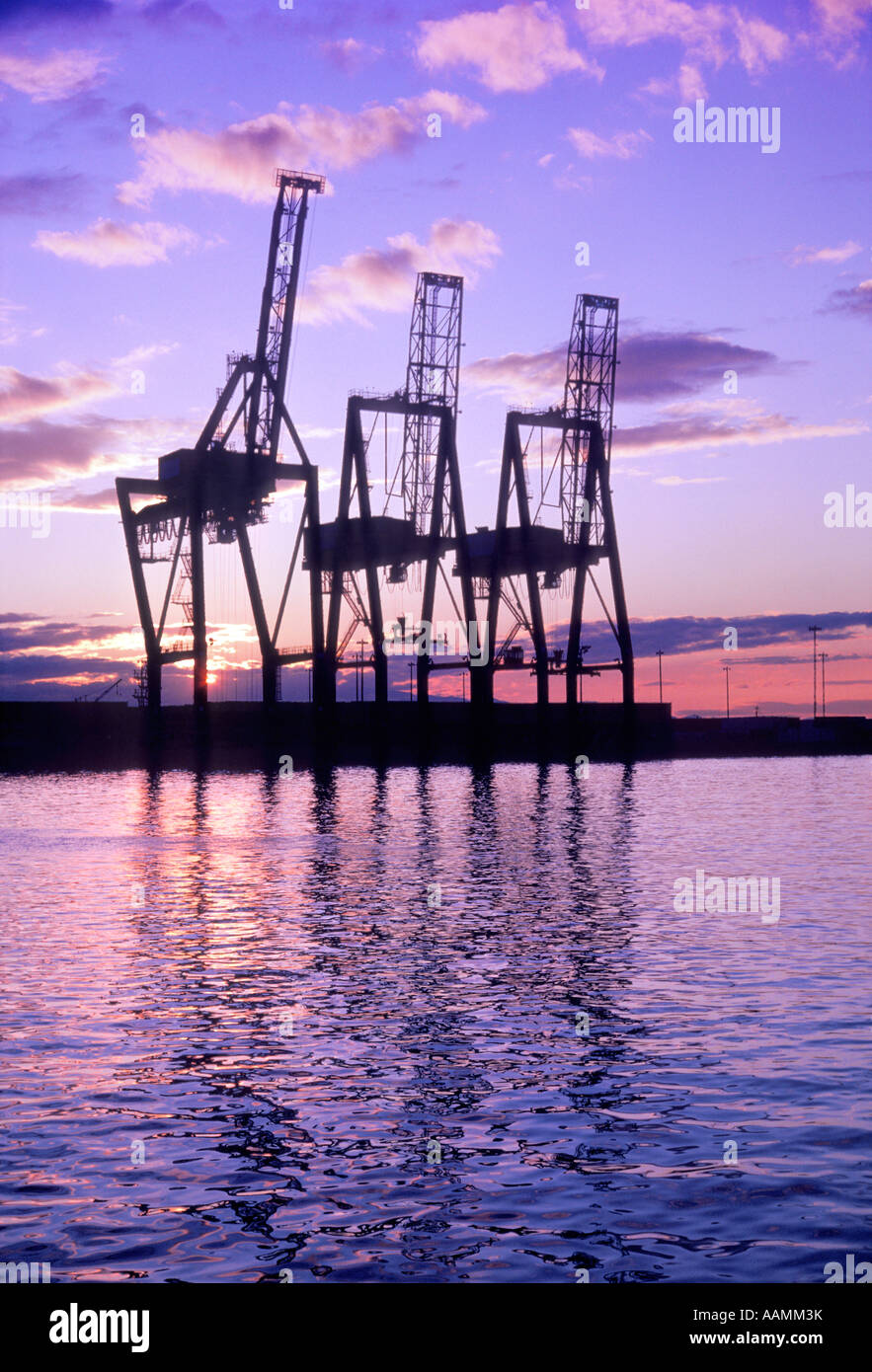 Three container cranes Port Of Seattle Washington State USA Stock Photo