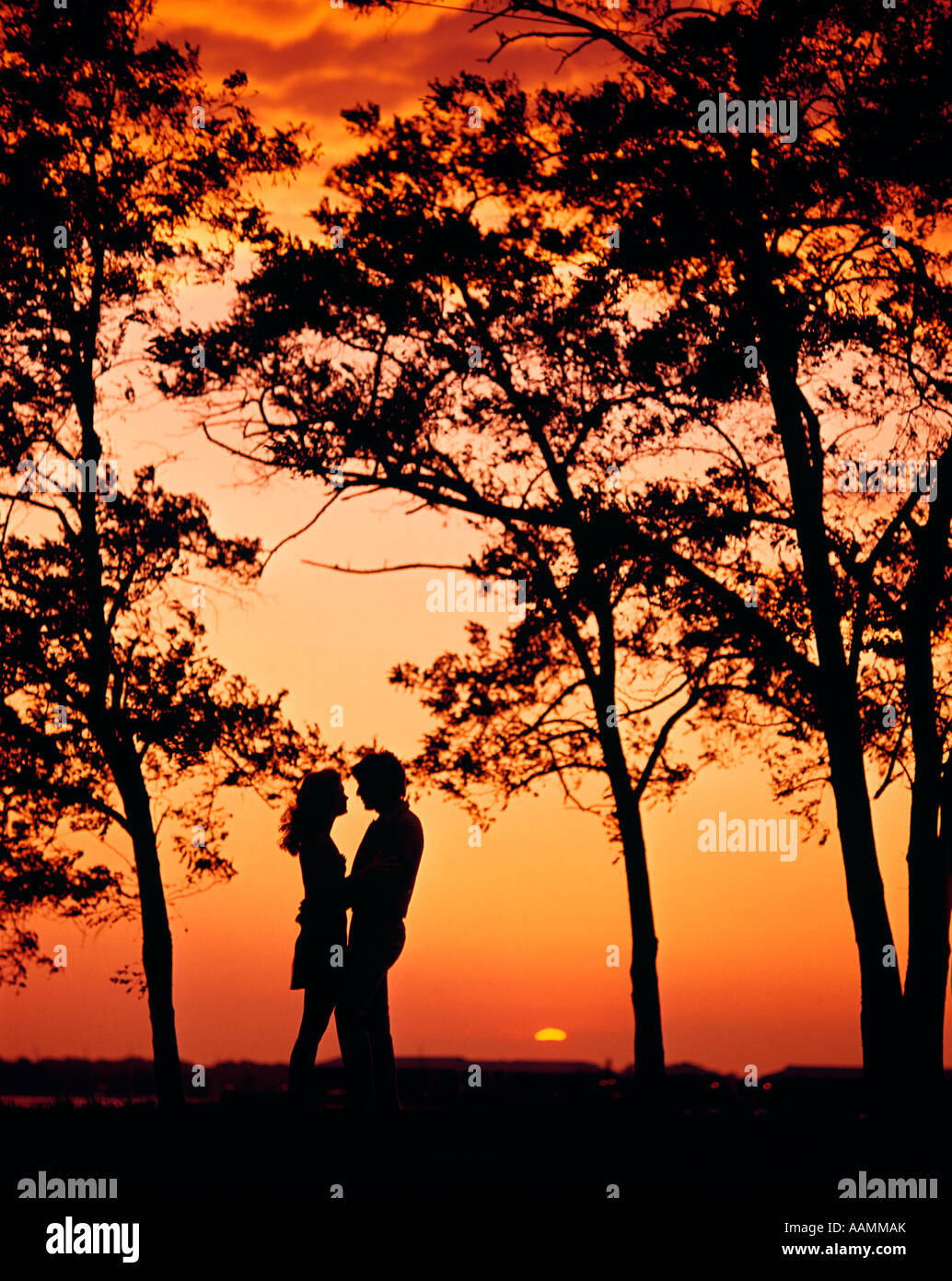1970s SILHOUETTED COUPLE MAN WOMAN AT SUNSET WITH TREES STANDING FACE ...