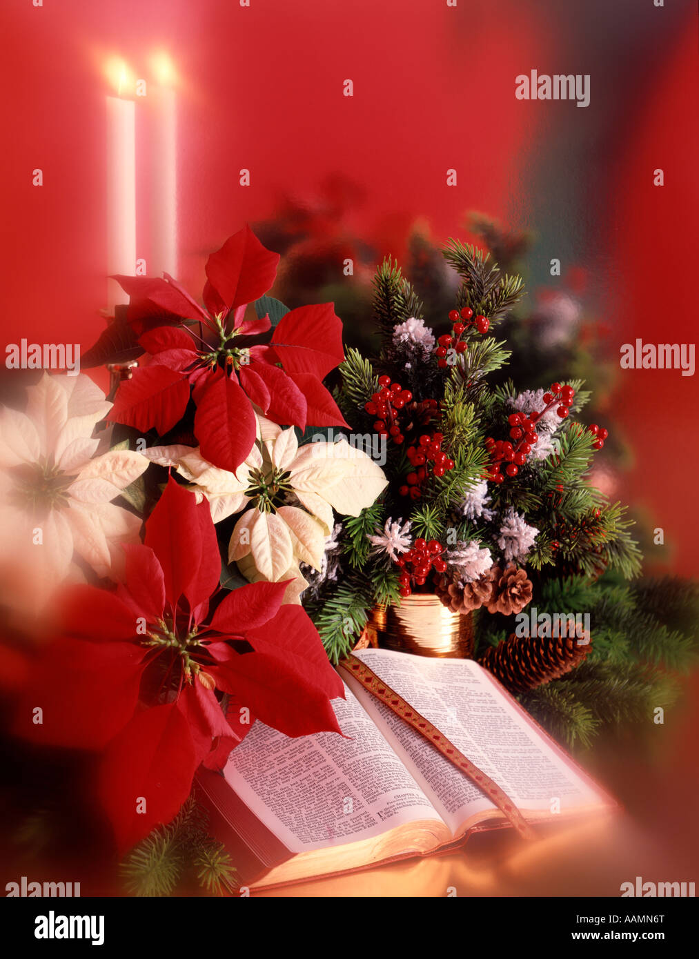 BIBLE POINTSETTIA CANDLES RELIGION RELIGIOUS HOLIDAY Stock Photo Alamy