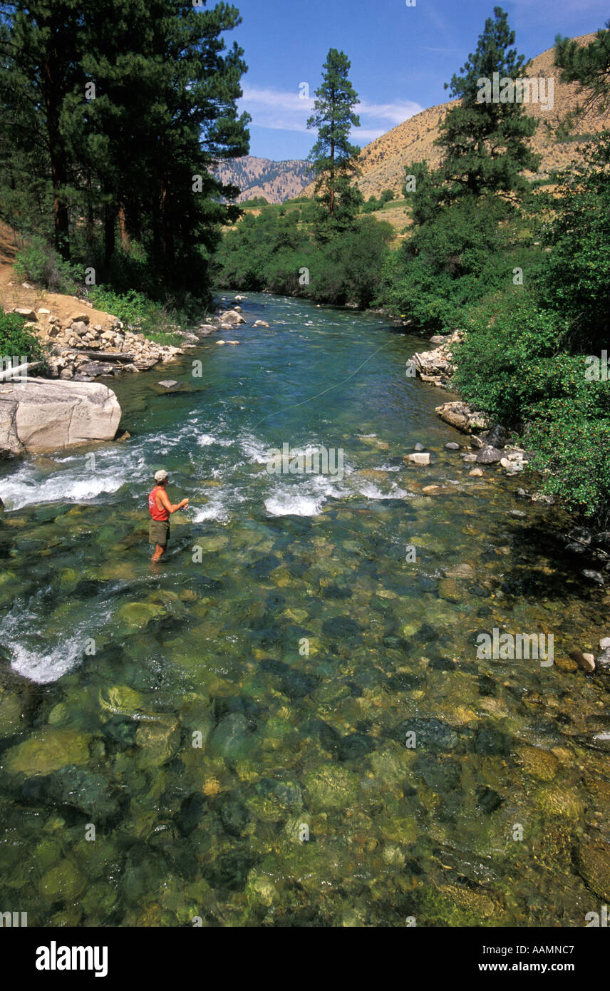 IDAHO Man fly fishing in Loon Creek Middle Fork of Salmon river Frank