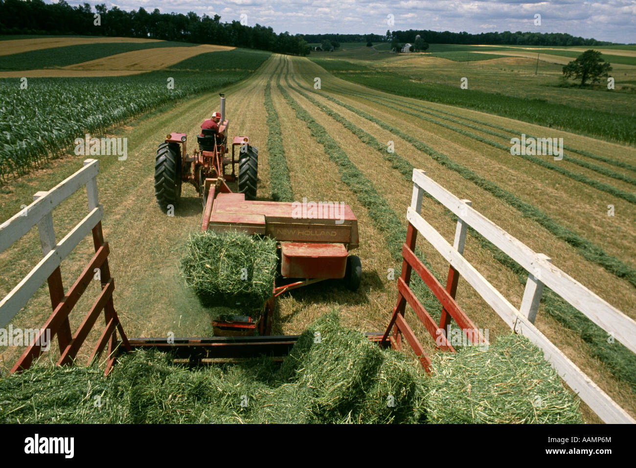 BALING ALFALFA PENNSYLVANIA Stock Photo - Alamy