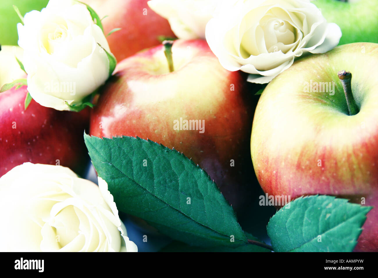 Apples with roses Stock Photo Alamy