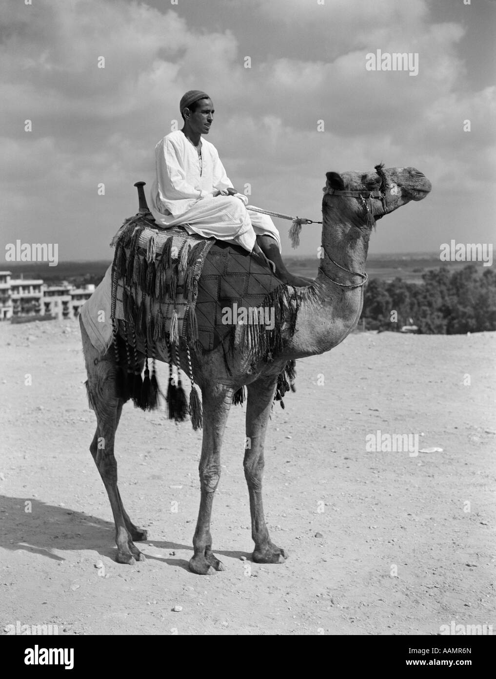 1920s 1930s EGYPTIAN MAN SITTING ON A RIDING TOURIST CAMEL WITH FRINGED CAMEL SADDLE GIZA CAIRO EGYPT Stock Photo