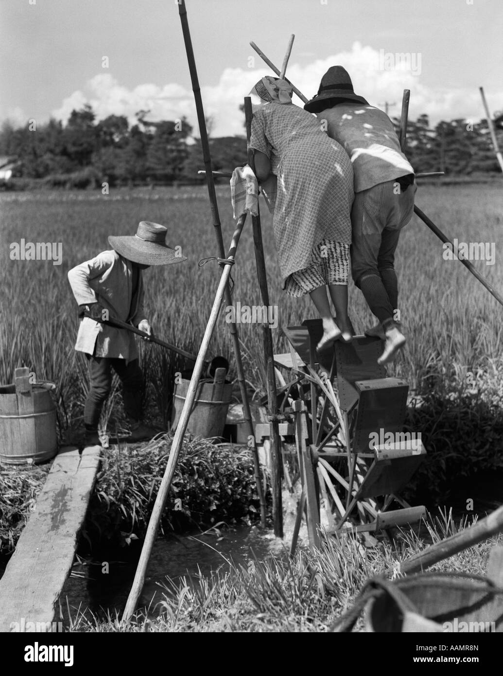 1930s IRRIGATING RICE FIELD NEAR OSAKA JAPAN TWO WORKERS TREADING WATER WHEEL FARMER WORKING BUCKET IRRIGATION FARM AGRICULTURE Stock Photo