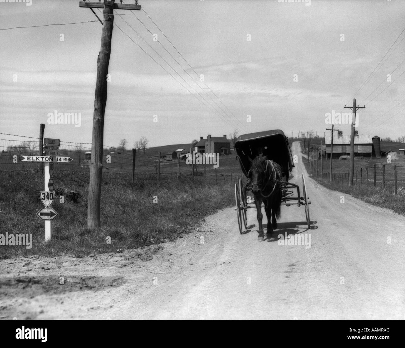 Amish man driving buggy Black and White Stock Photos & Images Alamy