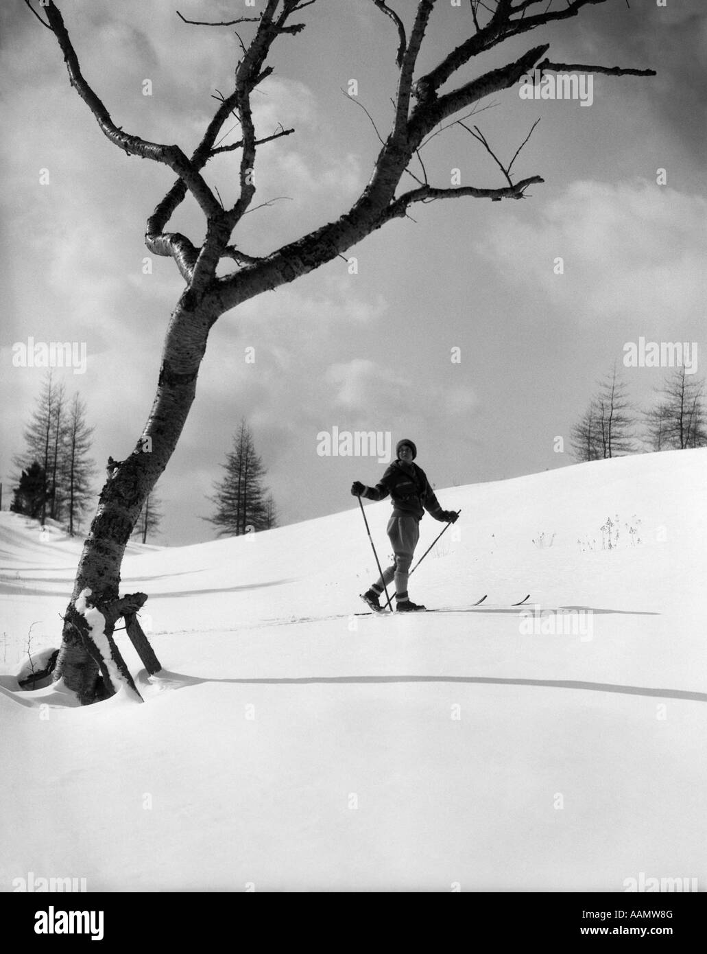 1920s 1930s SILHOUETTE OF WOMAN CROSS COUNTRY SKIER NEAR OLD TREE Stock Photo