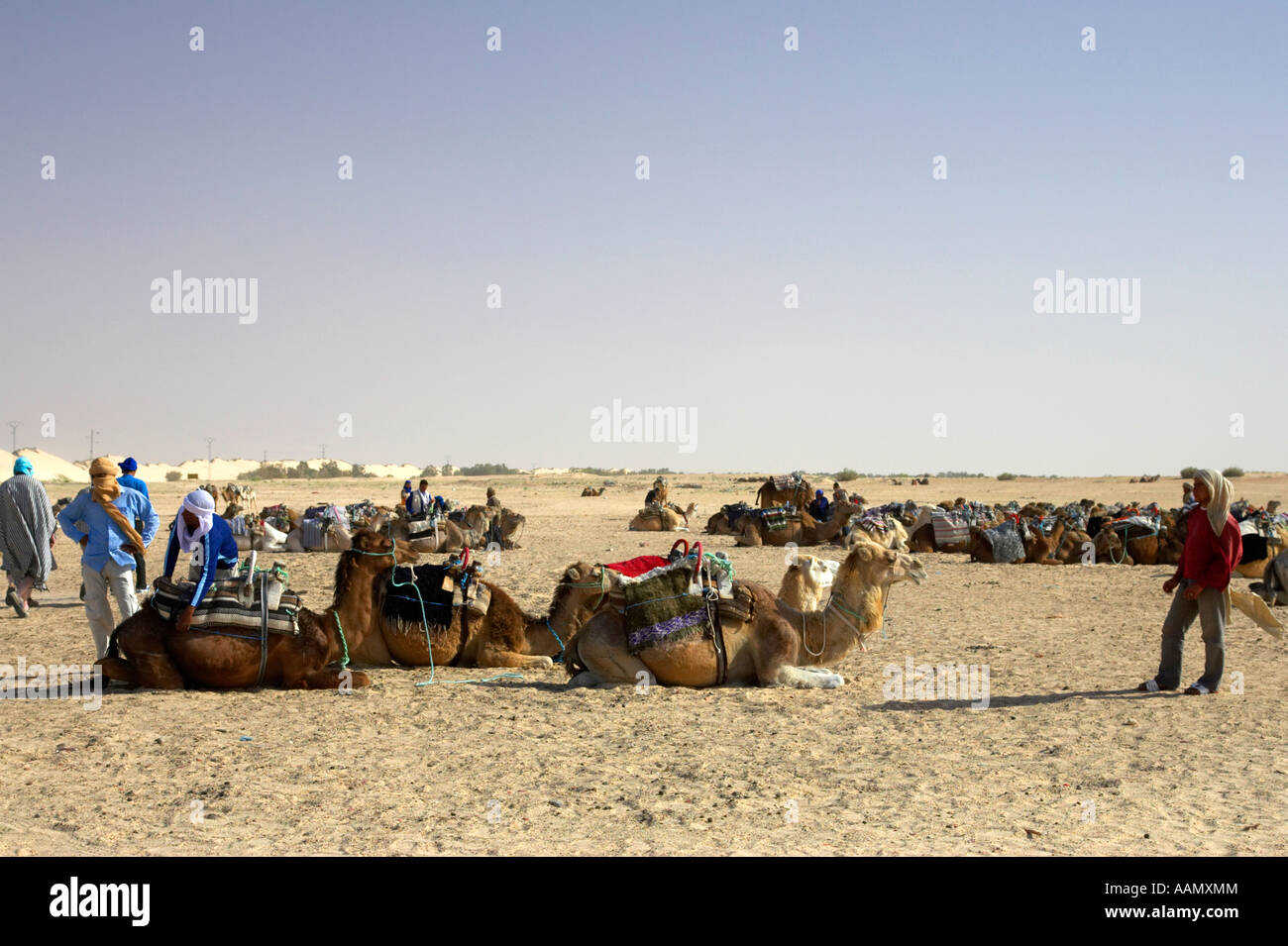 bedouin camel tenders wait for groups of tourists in the sahara desert at Douz Tunisia Stock Photo
