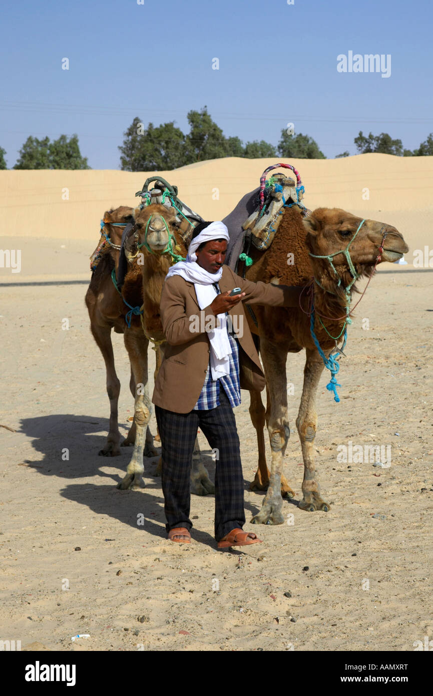 Bedouin camel minder recieves call on a mobile phone with camels in the sahara desert at Douz Tunisia Stock Photo