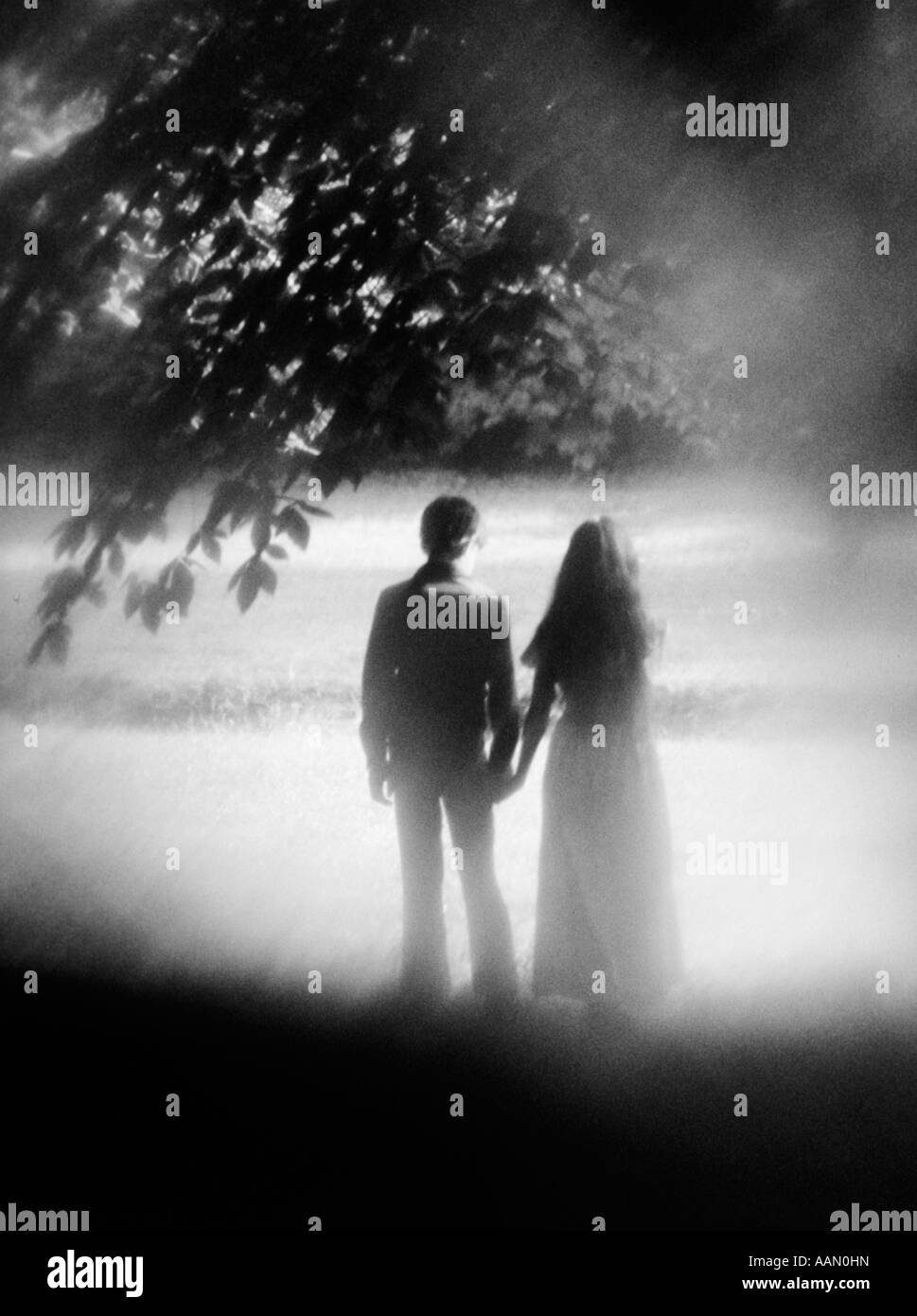 1970s REAR VIEW SOFT-FOCUS SHOT OF COUPLE STANDING UNDER TREE HOLDING HANDS Stock Photo