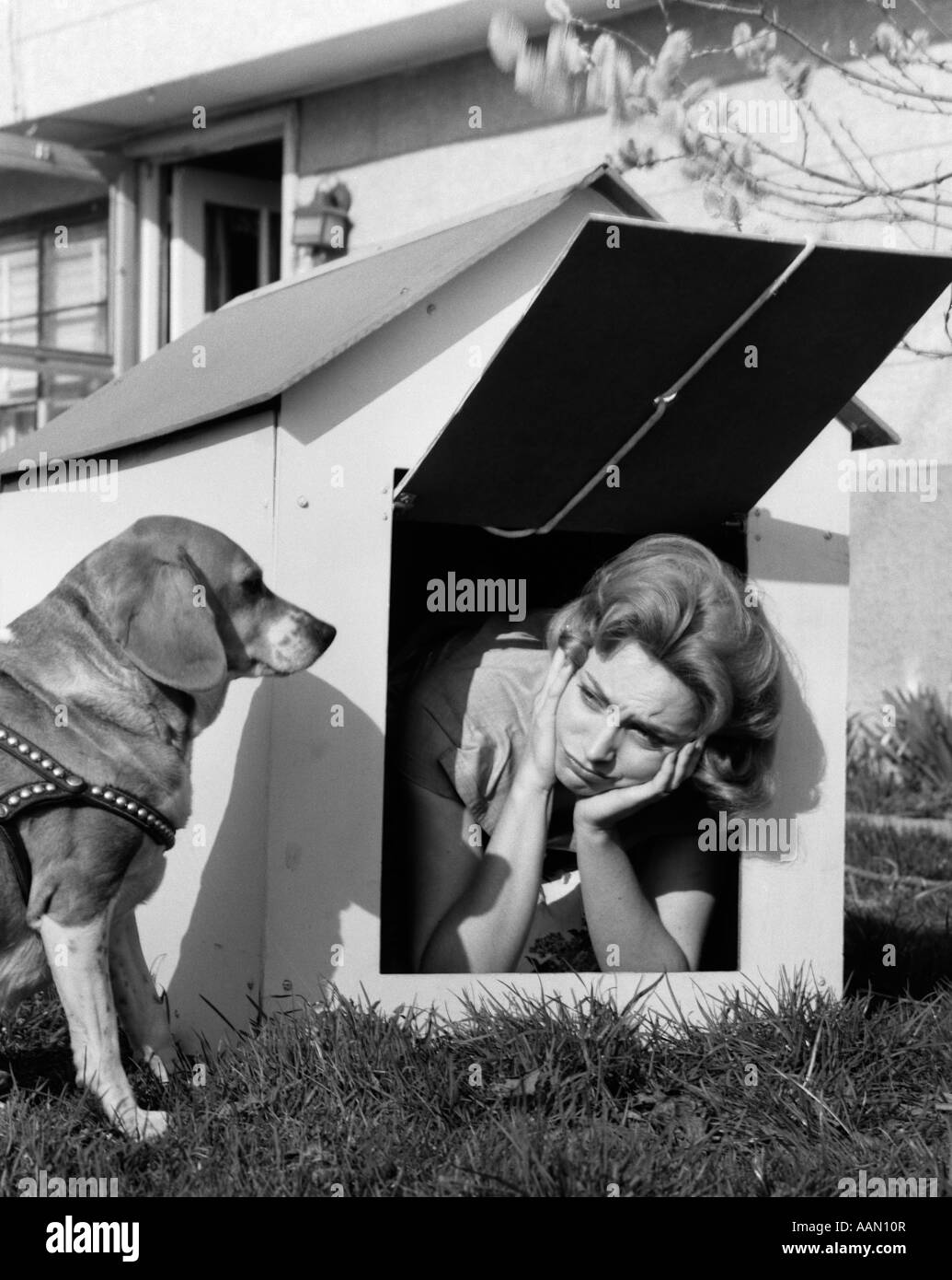 How Do I Get My Wife Out Of His Dog House