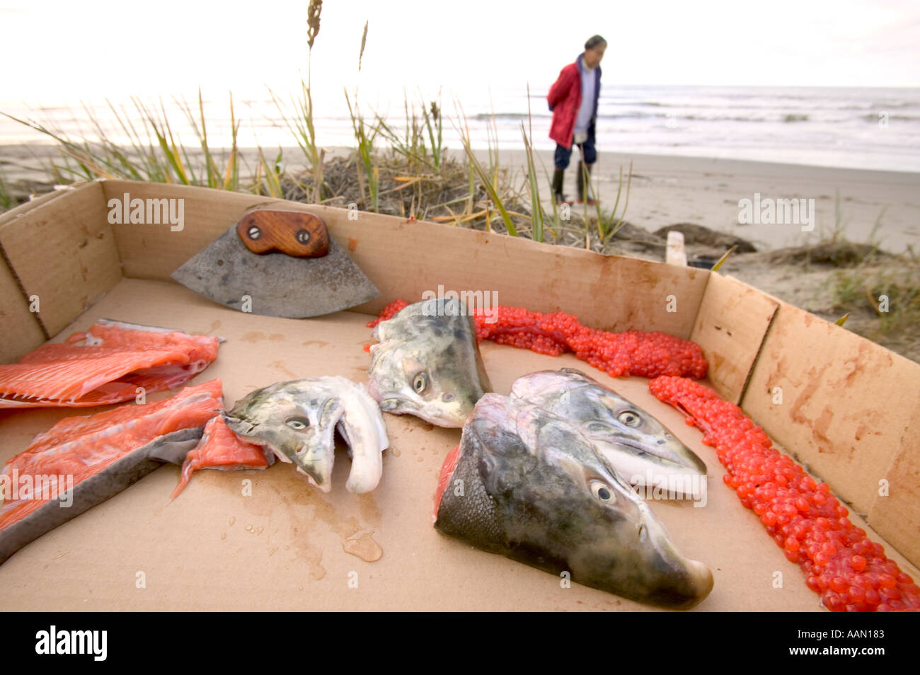 A village elder on the Eskimo island community of Shishmaref Alaska