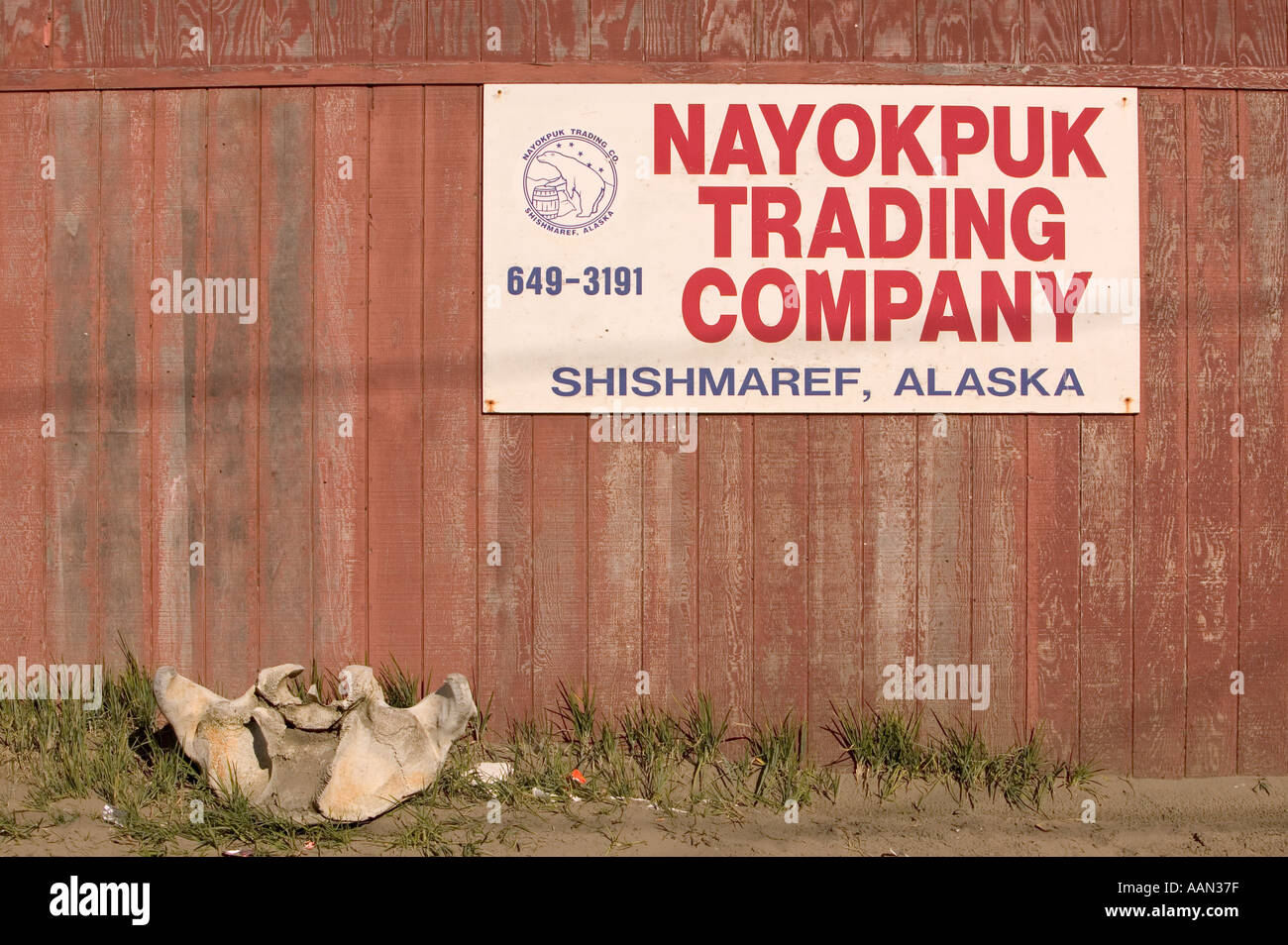 Shishmaref Native store and whale skull shishmaref Alaska Stock Photo