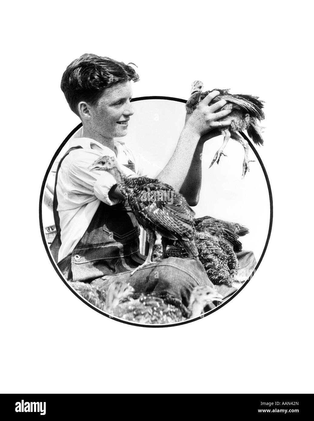 1930s BOY HOLDING UP TURKEY SURROUNDED BY TURKEYS Stock Photo - Alamy