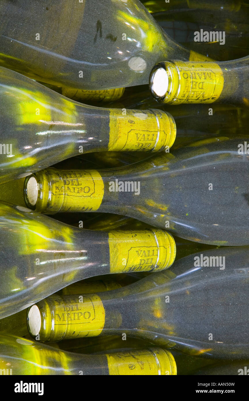 Bottles of white wine ready for cleaning and labelling. Stock Photo