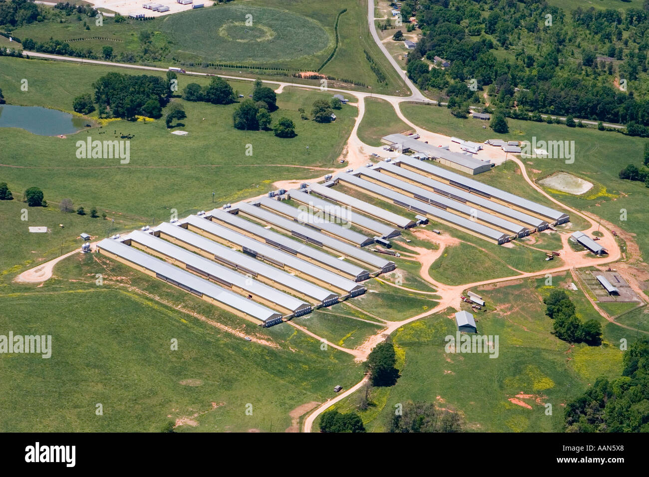 Aerial view of Chicken Houses in North Stock Photo Alamy