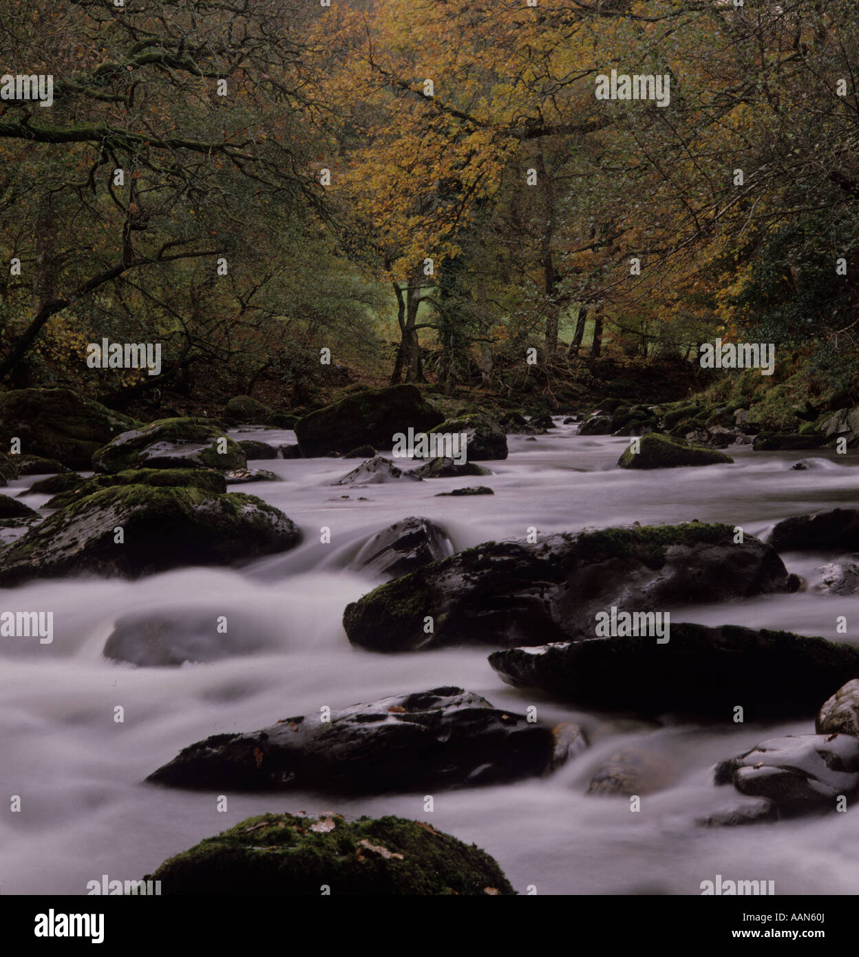 Wals Rivers river in wales Stock Photo - Alamy
