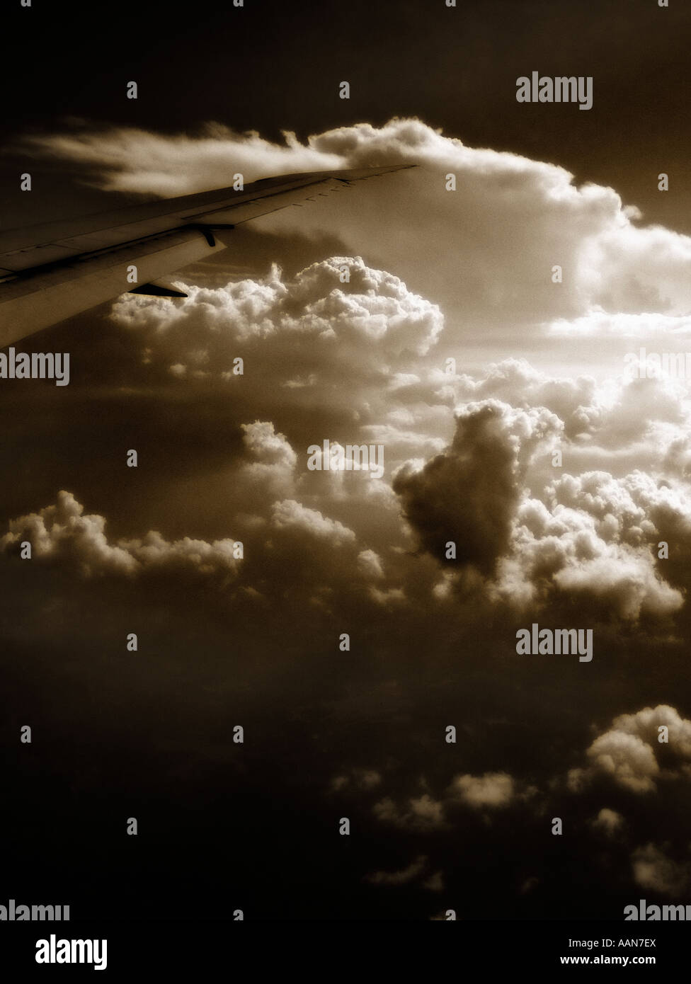 W wing hi-res stock photography and images - Alamy