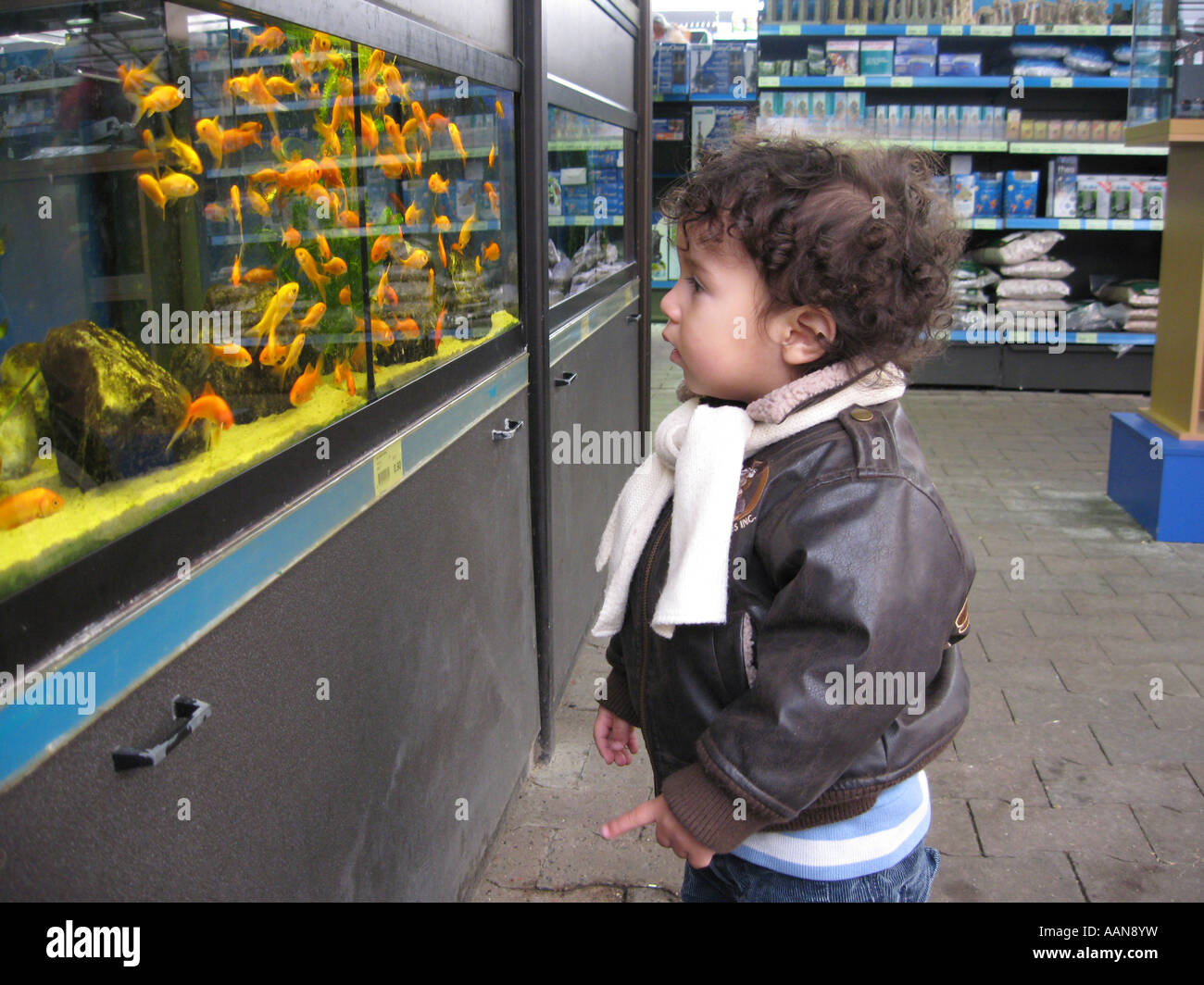 Little boy in a pet shop Stock Photo