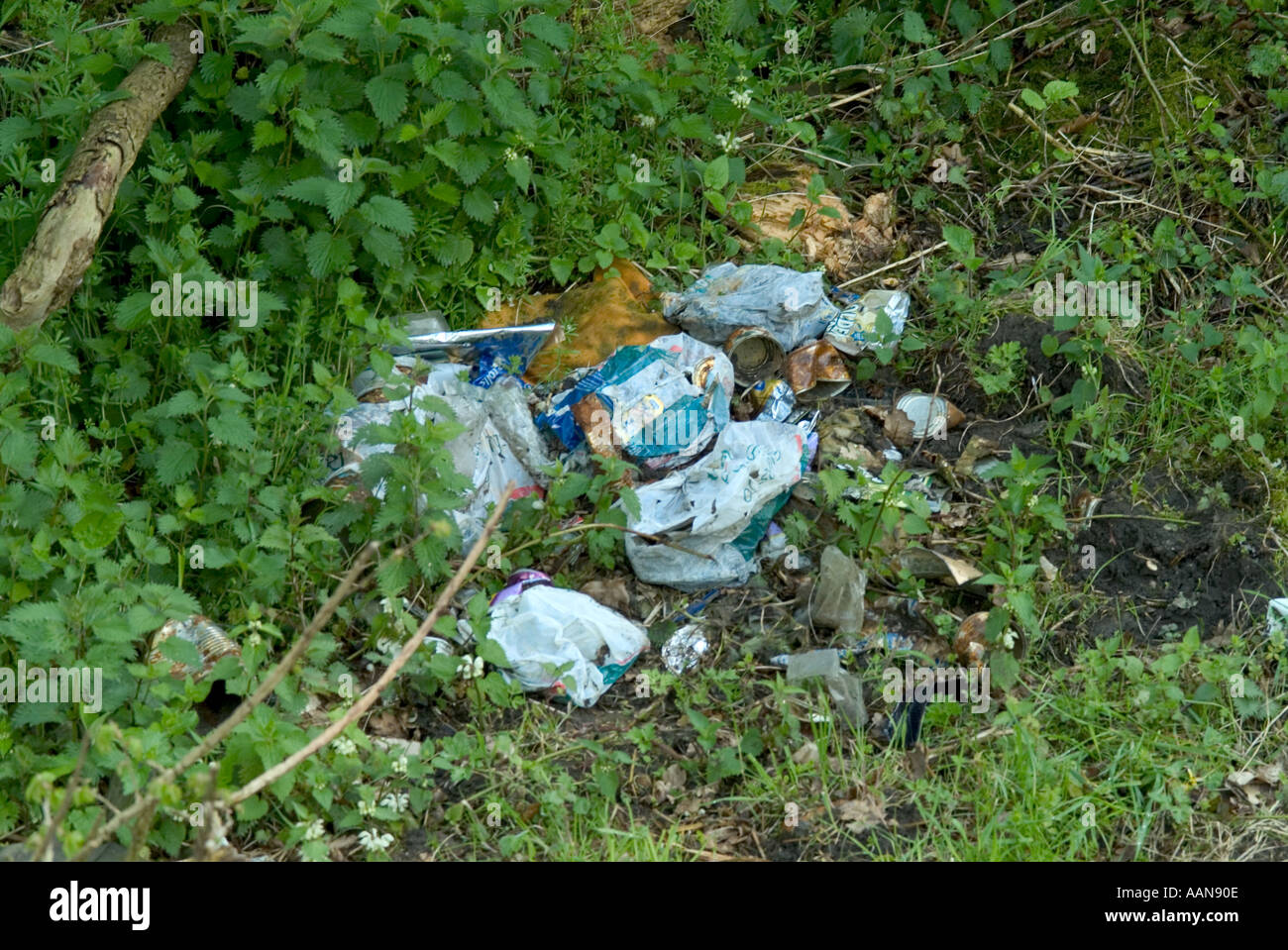 fly tipping waste environment counryside refuse dirt mess throw away