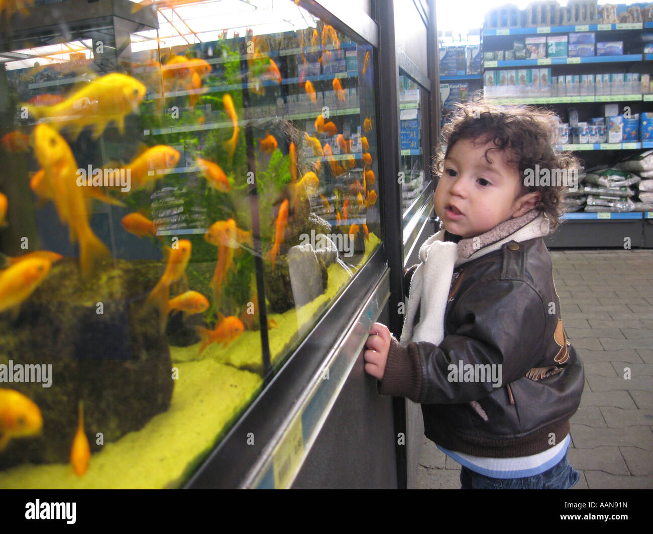 Little boy in a pet shop Stock Photo