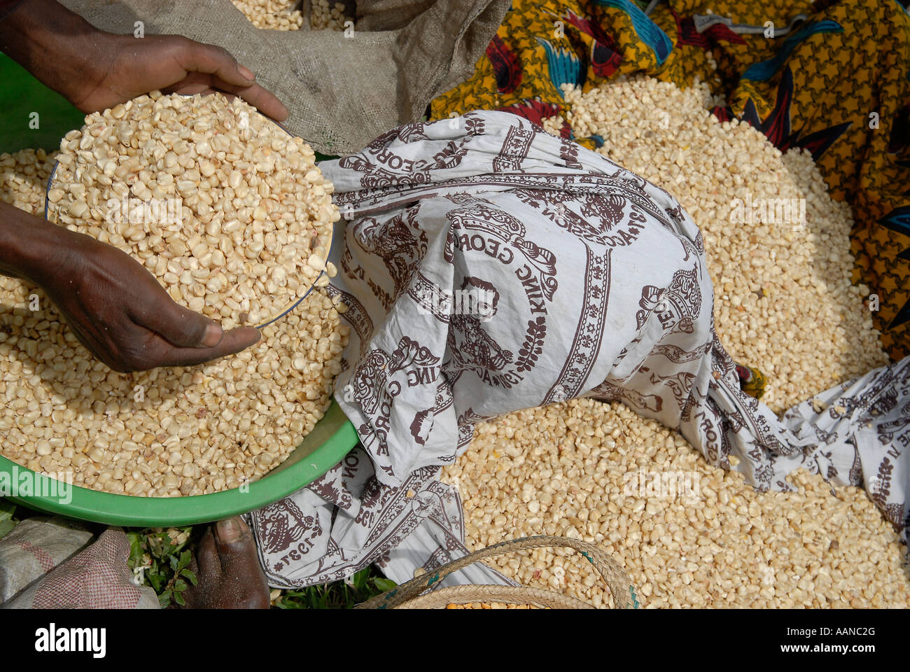 A Congolese woman holds maize grains in North Kivu province, Congo DR