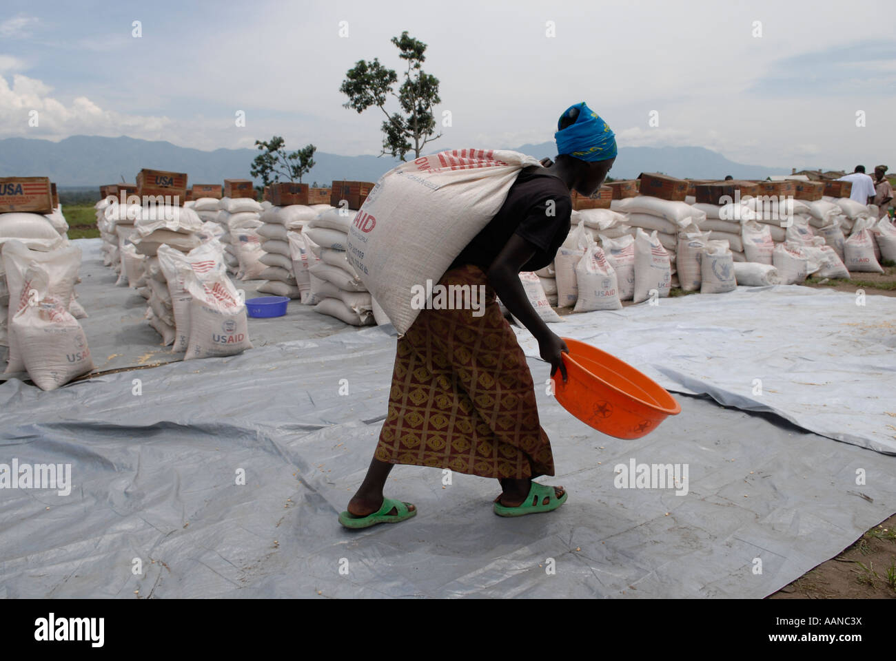 Woman carries large sack of maize donated by USAID at World Food Programme WFP distribution point in North Kivu province, Congo DR Africa Stock Photo