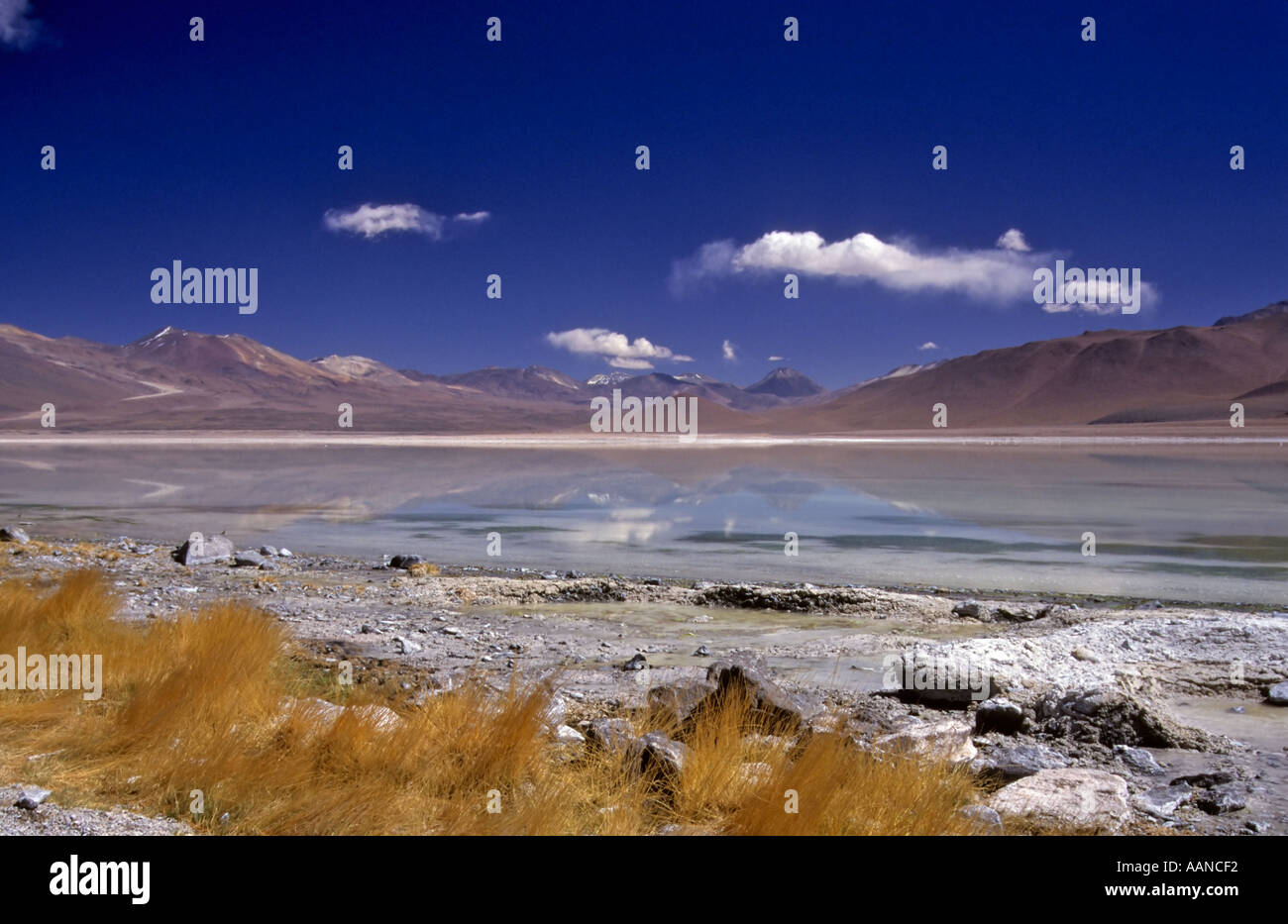 Laguna Blanca, Altiplano, Bolivia Stock Photo