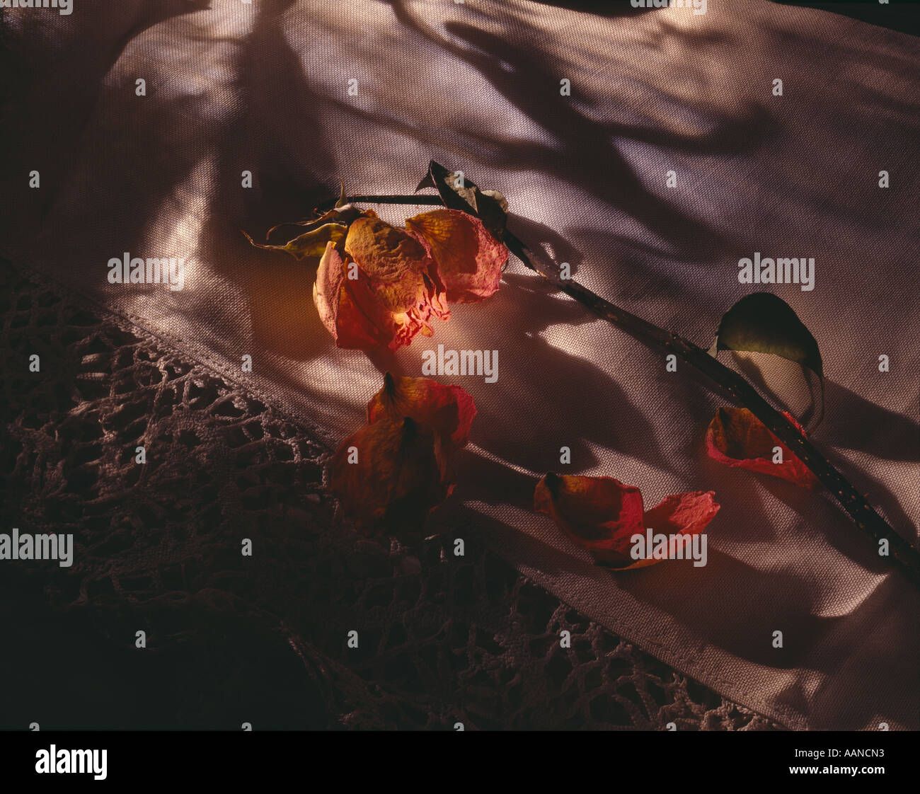 Disappearing declining hi-res stock photography and images - Alamy