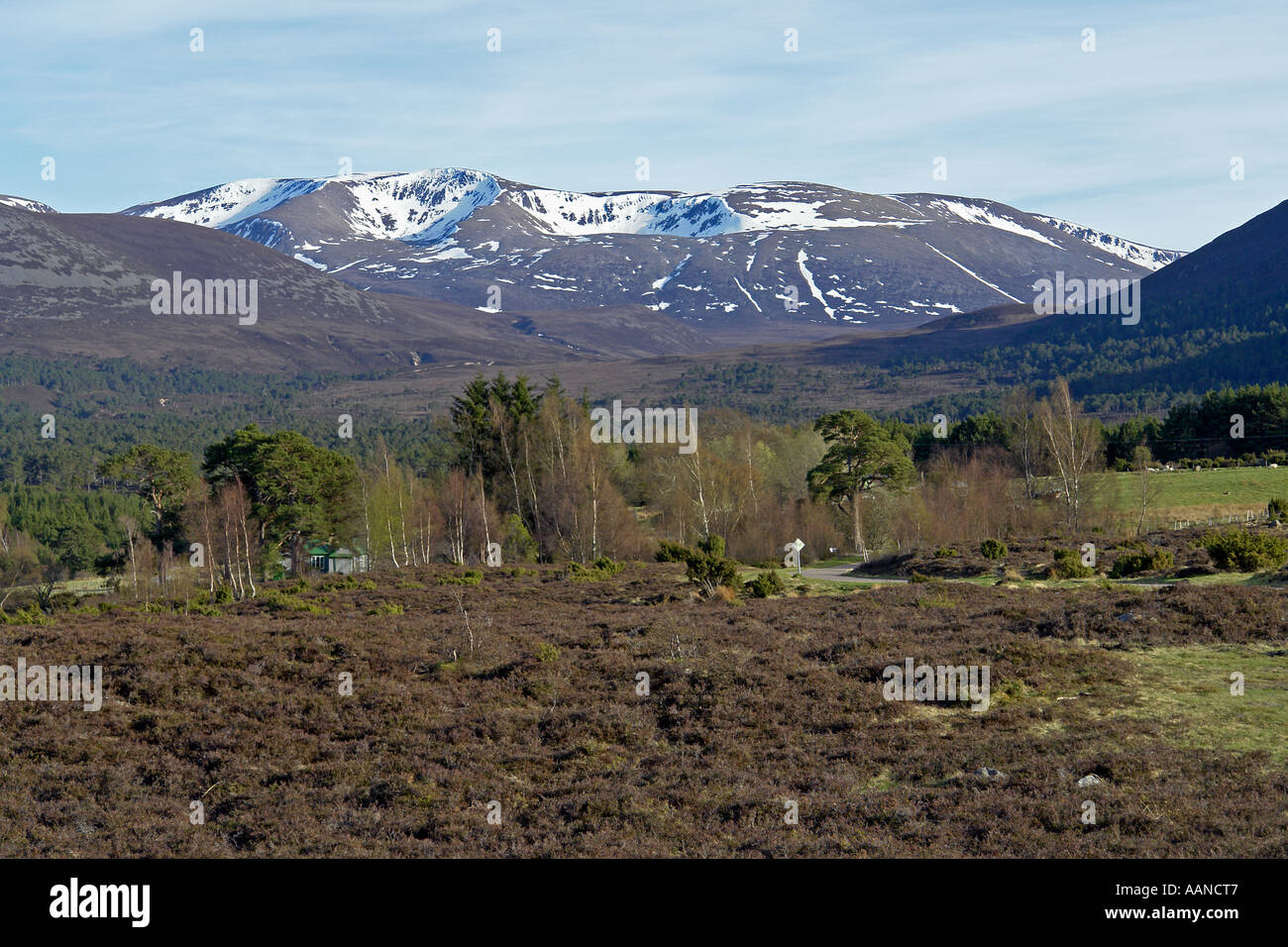 Braeriach with snow in its corries on a sunny spring day viewed from Tullochgrue east of Aviemore Stock Photo