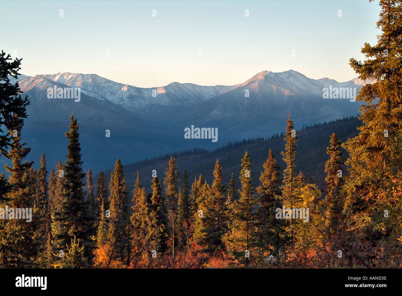 View from Grizzly Valley, Tombstone Provincial Park, Dempster Highway, Yukon, Canada Stock Photo