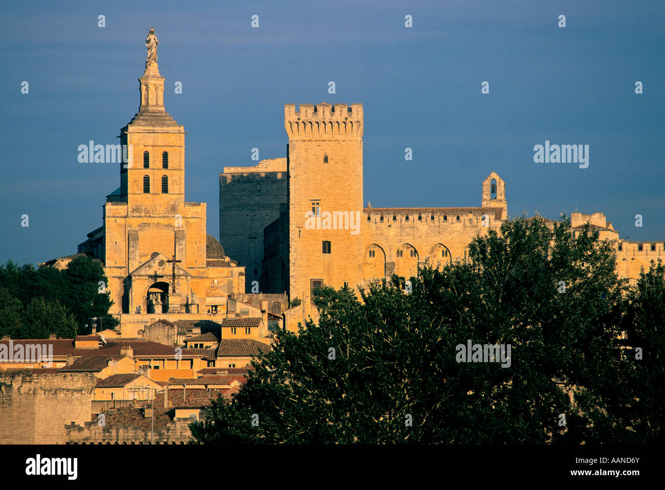 Avignon, France - Palais des Papes, Palace of the Popes, Avignon, France, Europe Stock Photo
