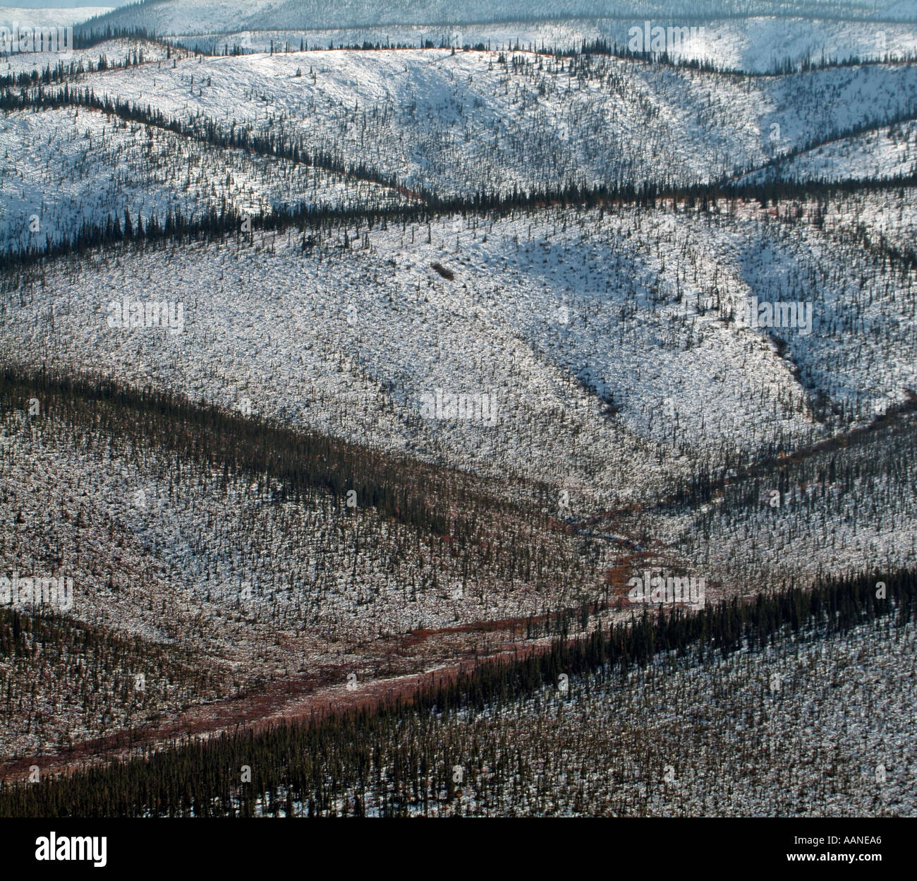 View from Sapper Hill, near Engineer Creek, Dempster Highway, Yukon